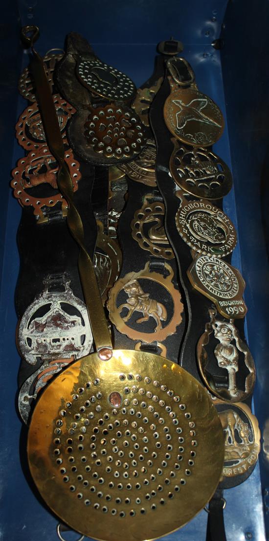 Collection of horse brasses